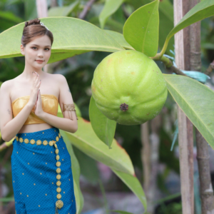 Garcinia Cambogia क्या है? फायदे, नुकसान, सही उपयोग और सच्चाई in Hindi